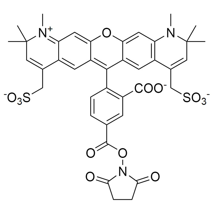AF594 NHS ester, 5-isomer